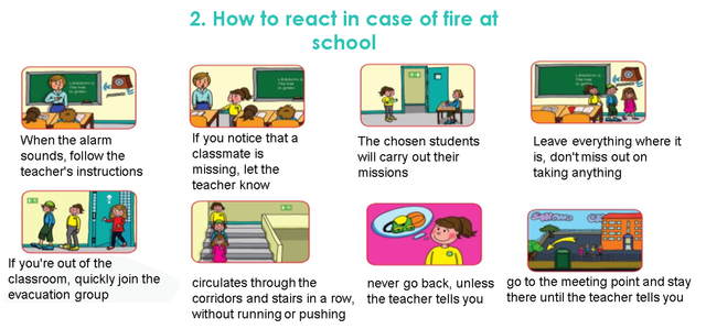 Слика од секција 1