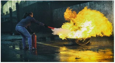 Слика од секција 1