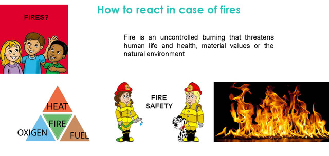 Слика од секција 1