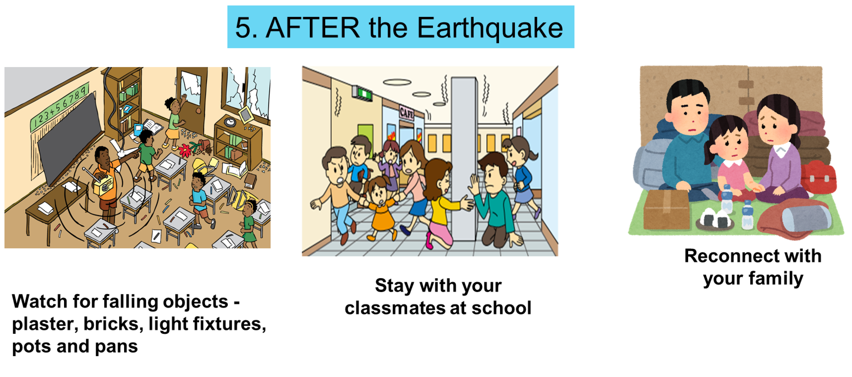 Слика од секција 1