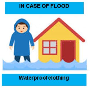 Слика од секција 1