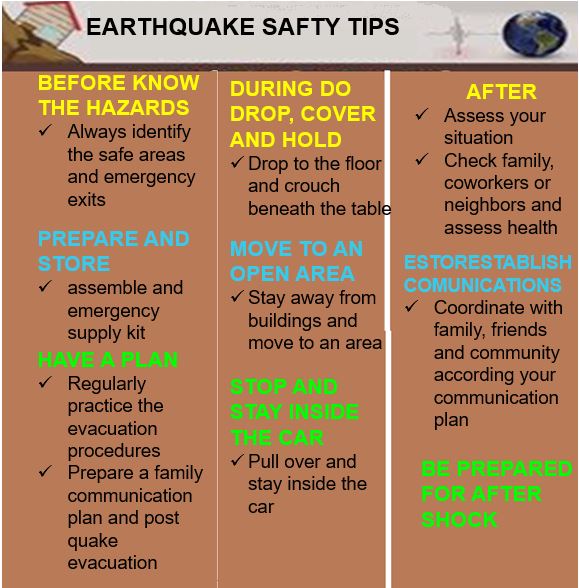 Слика од секција 1