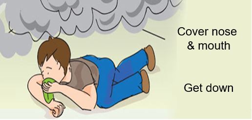 Слика од секција 5