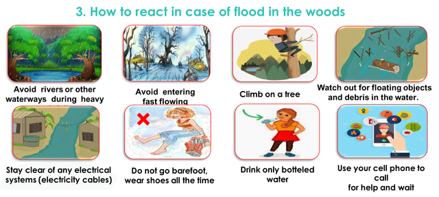 Слика од секција 1