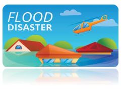 Слика од секција 1