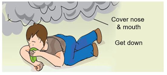 Слика од секција 4