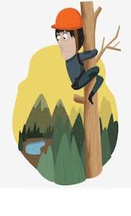 Слика од секција 1