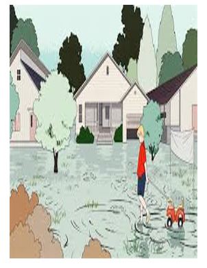 Слика од секција 1