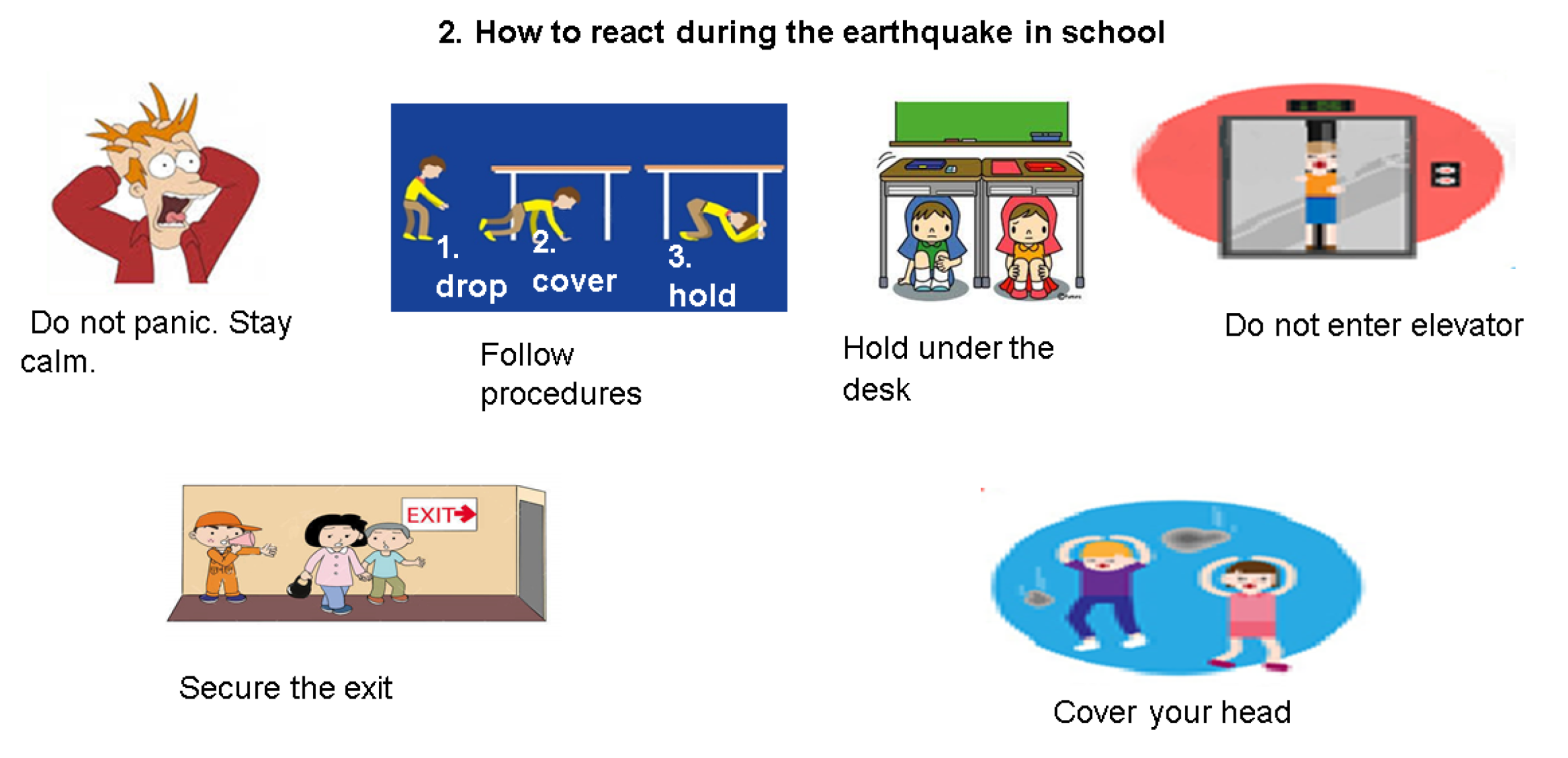 Слика од секција 1